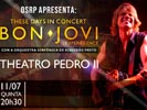 Bon Jovi Experience - These Days in Concert