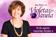 Violetas na Janela 